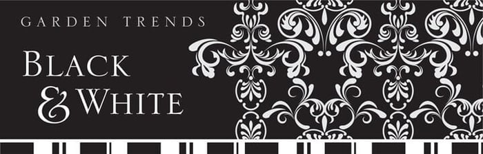 Color Trends - Black and White In Your Garden