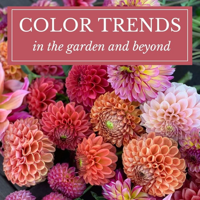 Color Trends in the Garden and Beyond