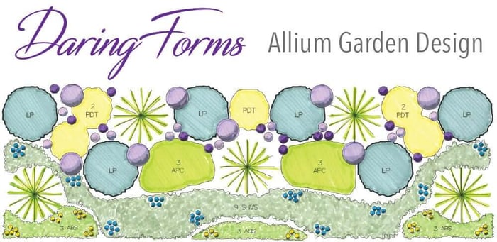 How to Use Alliums in a Naturalistic Garden Design