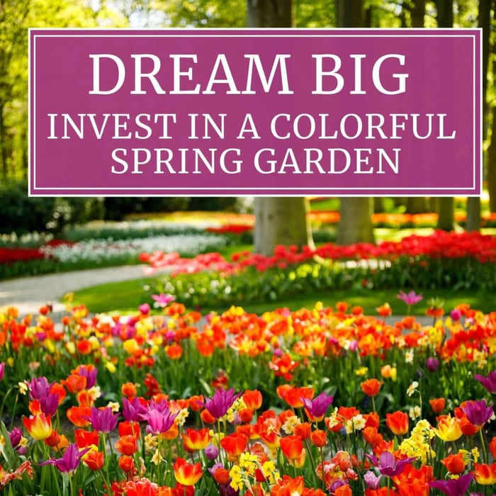 Dream Big: Invest in a Colorful Spring Garden