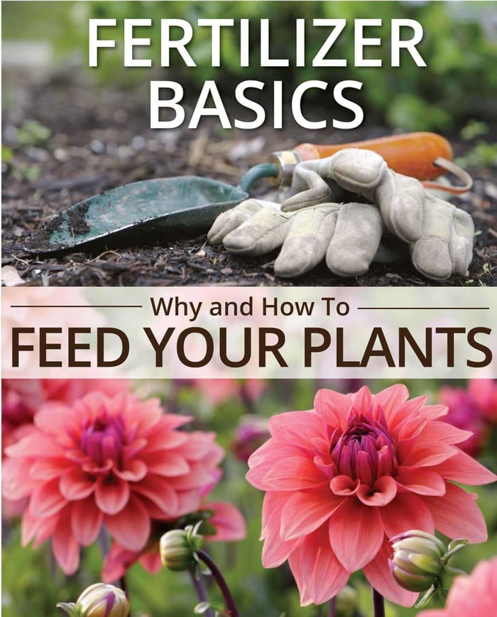 Fertilizer Basics -- Why and How to Feed Your Plants