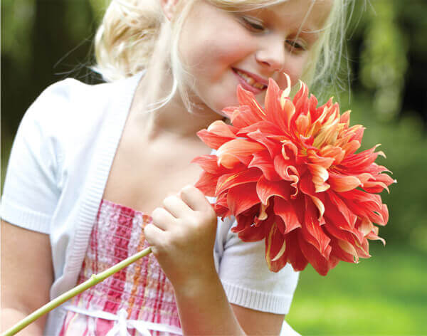How Big Will Your Flowers Bloom?