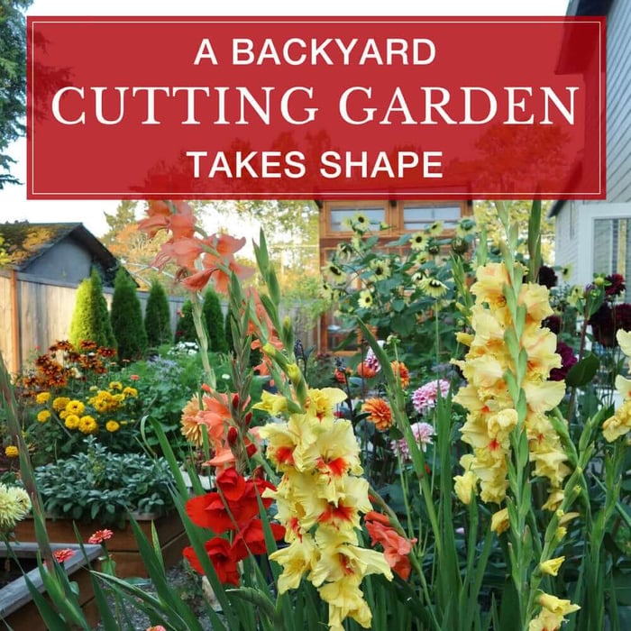 A New Backyard Cutting Garden Takes Shape