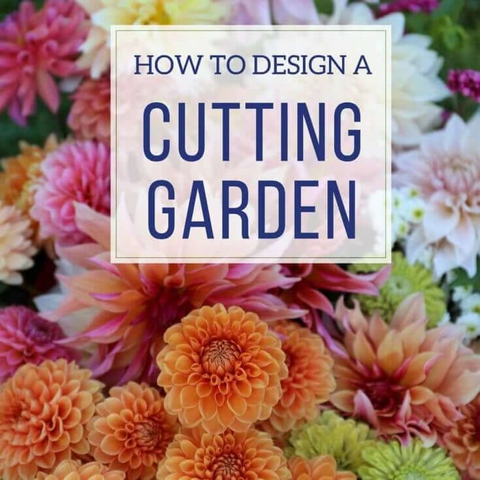 How to Design a Backyard Cutting Garden