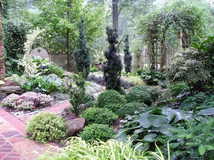 7 Design Tips for Shady Gardens