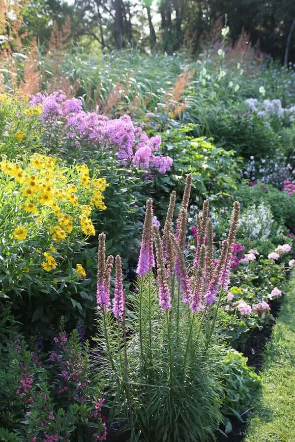 How to Plan for a More Colorful Flower Garden