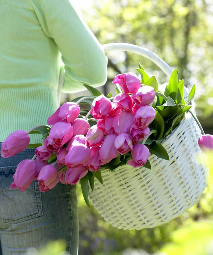Facebook Fans Say Mental Health Is Top Reason for Gardening
