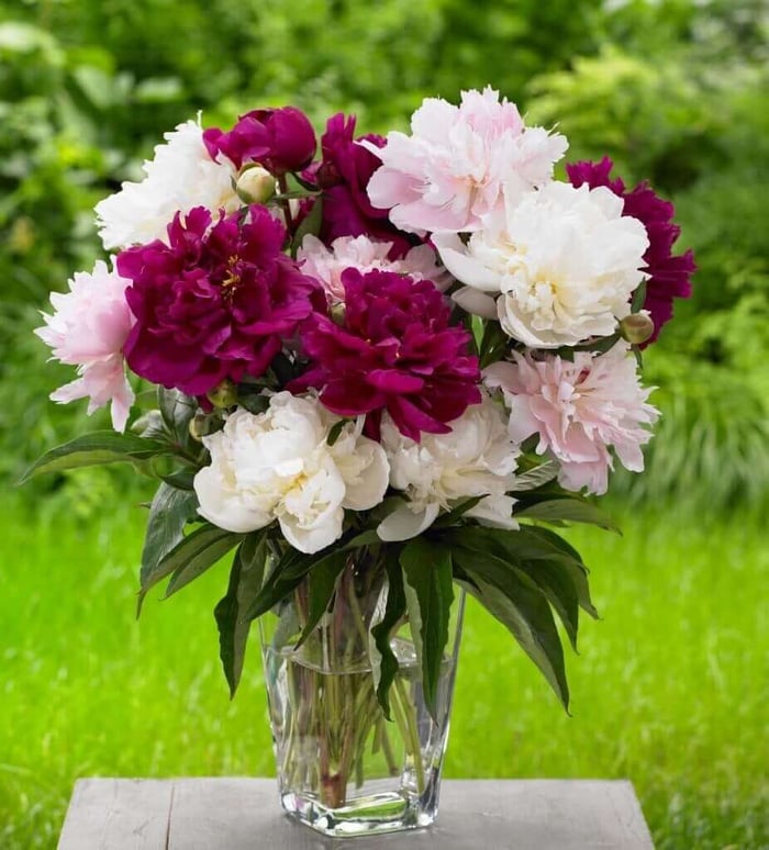 5 Tips for Long-Lasting Flower Bouquets