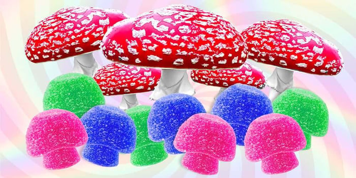 The Amazing Effects of Amanita Mushroom Gummies