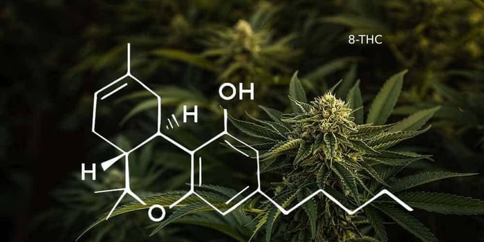 Why Is Delta-8 Banned In Some States?