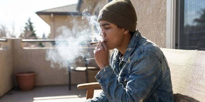 How to Read a THCA COA