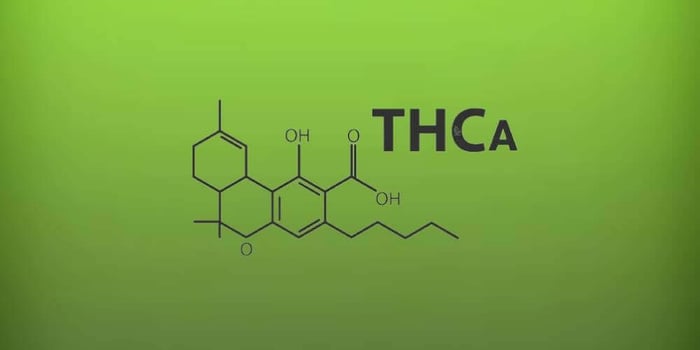 Is THCA Legal? The Legality of Hemp-Derived Cannabinoids