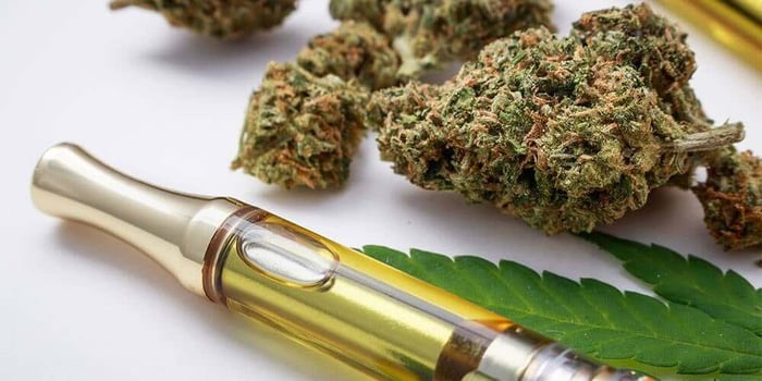 THCA Legality Explained: Federal Rules + State-by-State Watch-Outs
