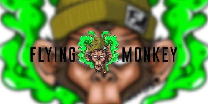 The Ultimate Guide to Riding the Flying Monkey Cart: Tips for Beginners