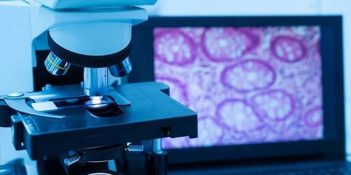 Building a Microscopy Notebook: Metadata, Measurements, and Reporting Templates