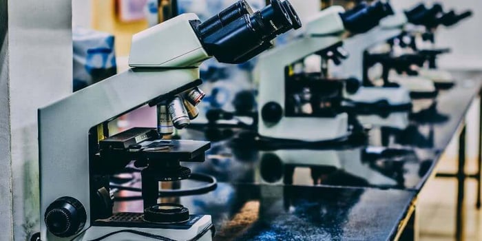 Species ID Through Microscopy: Which Spore Characteristics Matter Most?