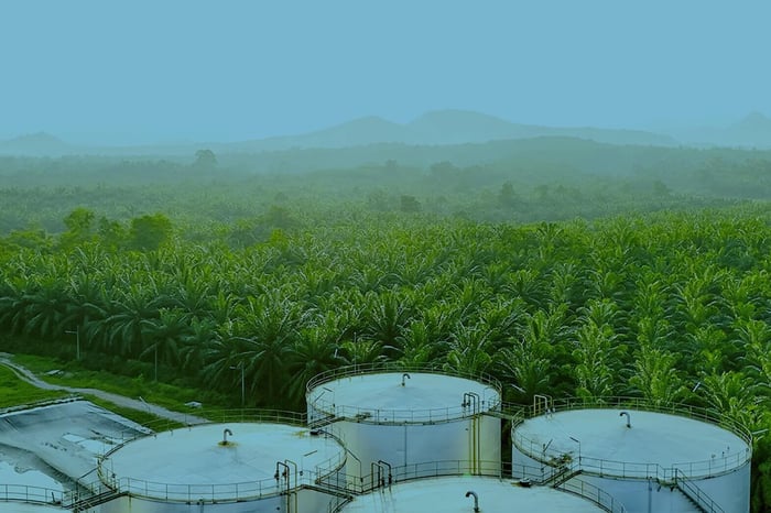 Ultrasonic Sensors from Senix Chosen for Palm Oil Measurements