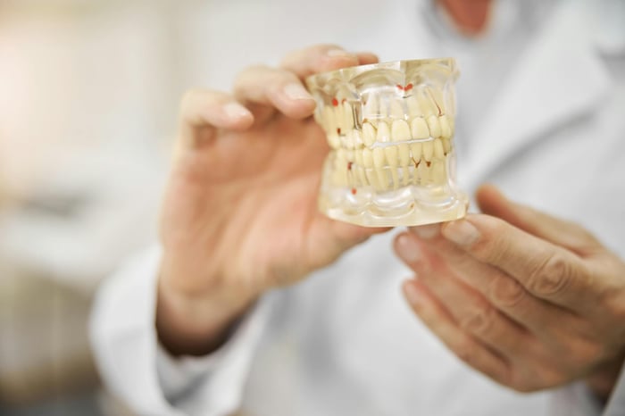 Dentist holding a transparent dental model to demonstrate teeth alignment and bite structure.