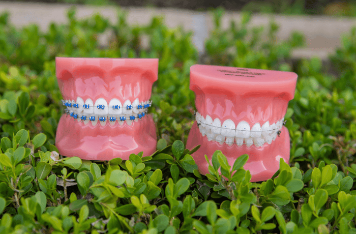 Two dentures on a grass