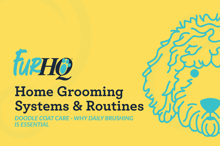 Doodle Coat Care - Why Daily Brushing Is Essential