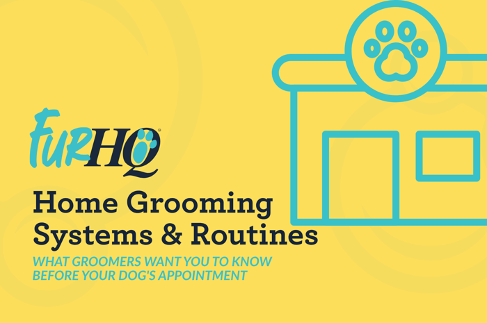 What Groomers Want You To Know Before Your Dog's Appointment