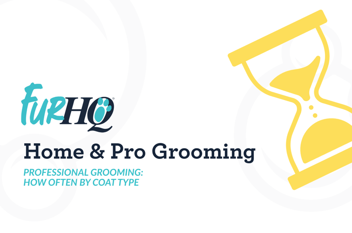 Professional Dog Grooming - How Often by Coat Type