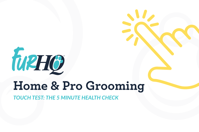 Touch Test for Dogs: The 5 Minute Health Check