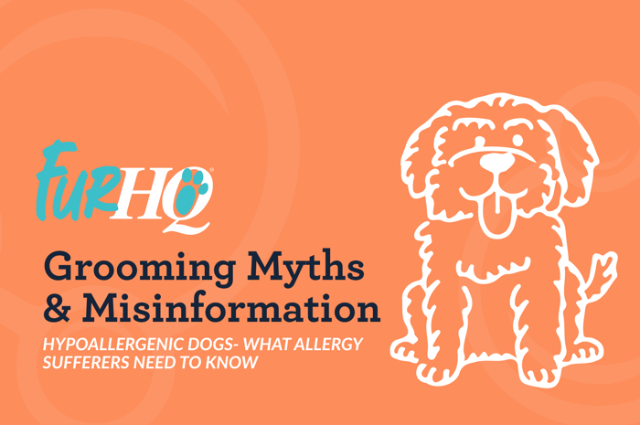 Hypoallergenic Dogs- What Allergy Sufferers Need to Know