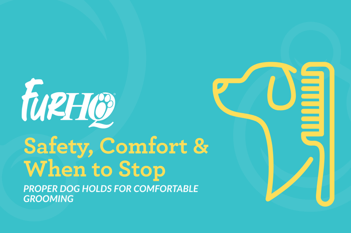 Proper Dog Holds for Comfortable Grooming
