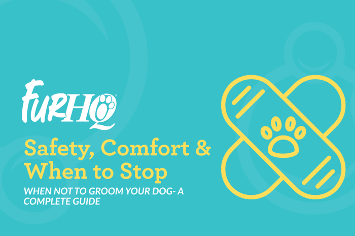 When Not to Groom Your Dog- a Complete Guide