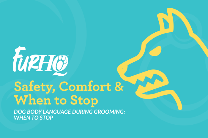Dog Body Language During Grooming: When to Stop