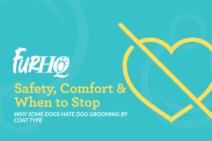 Why Some Dogs Hate Dog Grooming by Coat Type