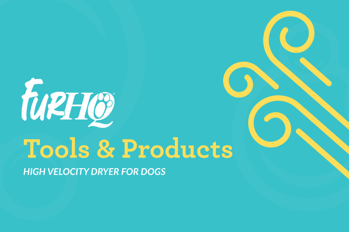 High Velocity Dryer for Dogs - Complete Guide