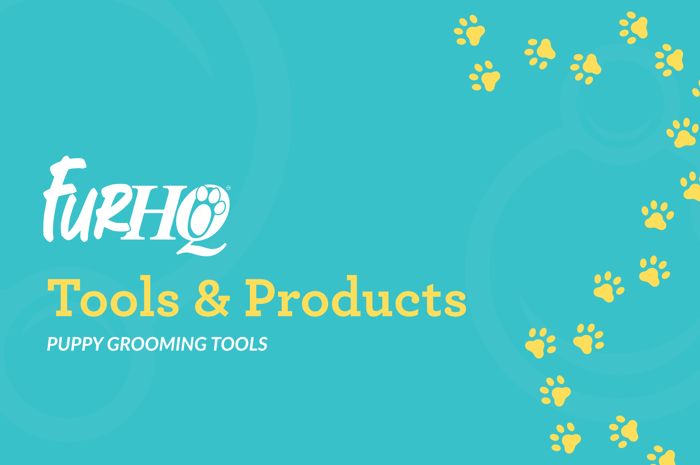 Puppy Grooming Tools: What to Use Now and What to Wait On