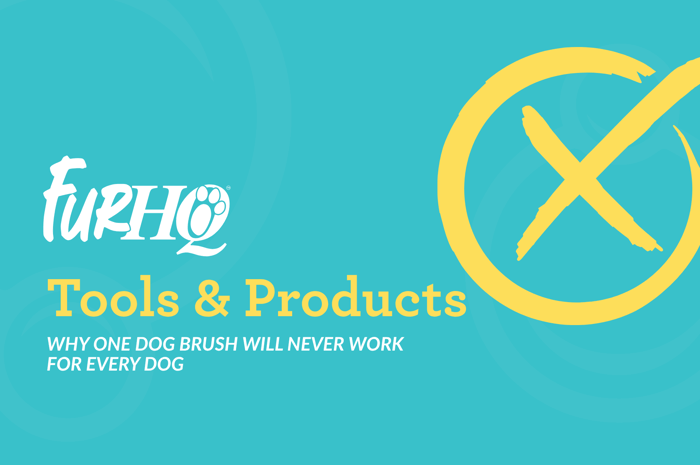 Why One Dog Brush Will Never Work for Every Dog
