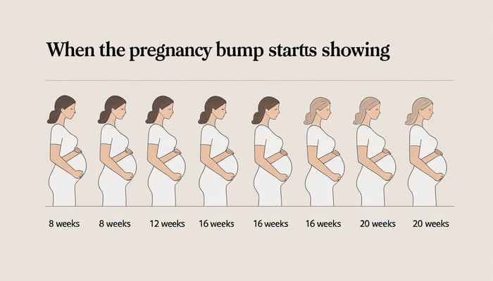 A phase of a women pregnancy bump