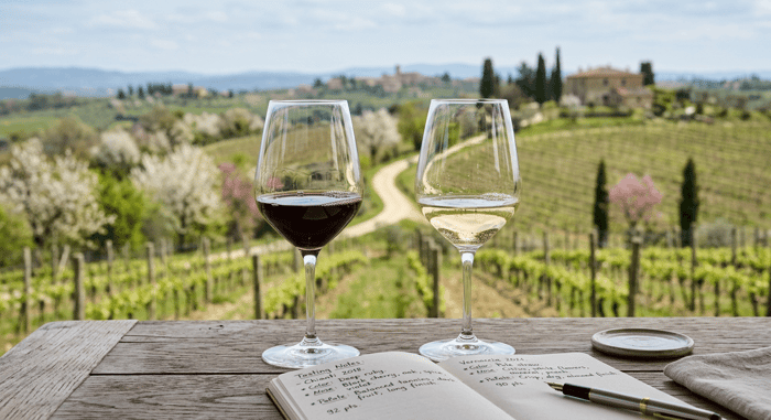 red vs white wine glasses wine tasting vineyard