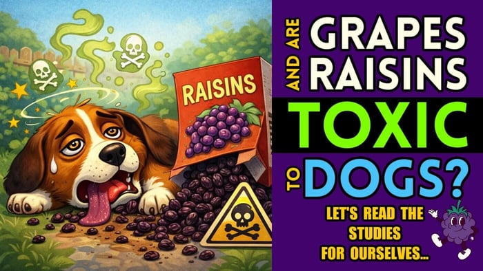 Are Raisins and Grapes ACTUALLY Toxic To Dogs? [By Agent131711]