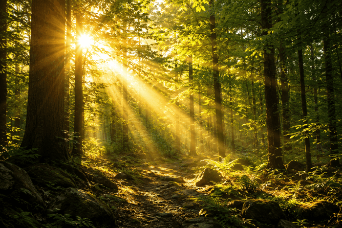 Father of Lights Meaning: Why Is God Called the Father of Lights?