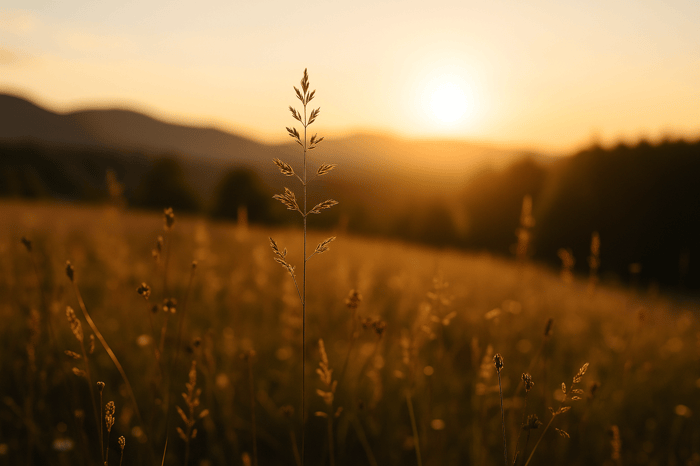 James 1:5 – Asking God for Wisdom