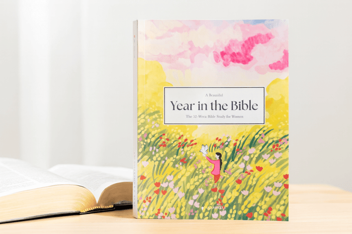 Review: A Beautiful Year in the Bible: The 52-Week Bible Study for Women