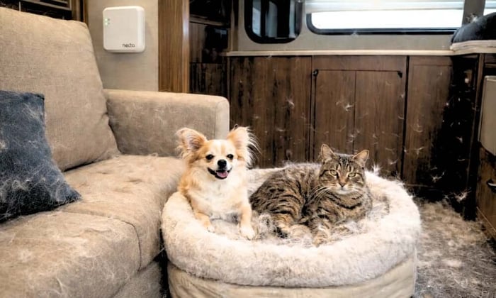 Small dog and cat inside an RV with visible pet hair and odor buildup on sofa, floor, and pet bed, with a Necto monitor on the wall helping manage pet hair and odor conditions