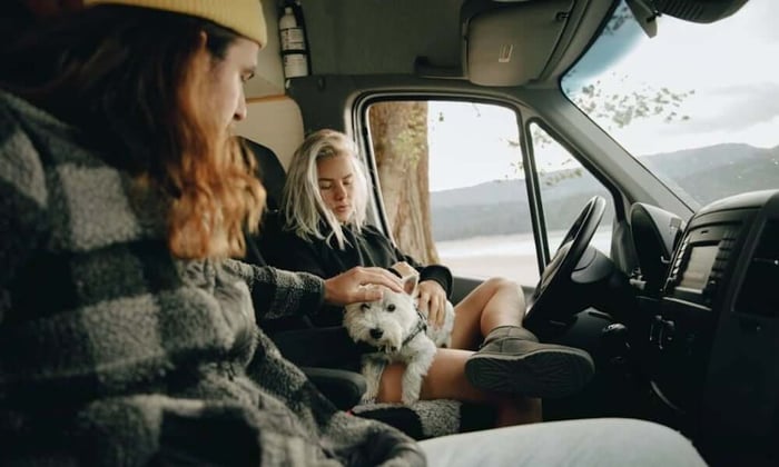 RV pets in vehicle cabin showing importance of RV pet safety