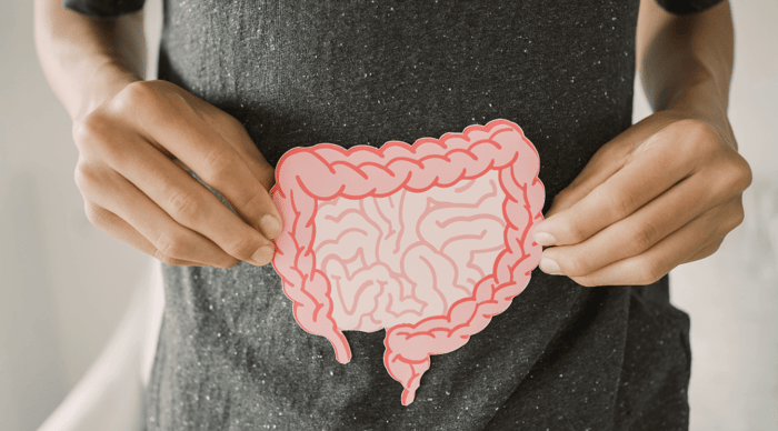 Histamine Intolerance and Leaky Gut: What’s the Connection?