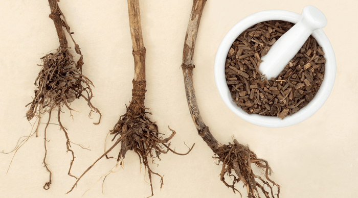 The Power of Valerian Root: Nature’s Answer to Insomnia