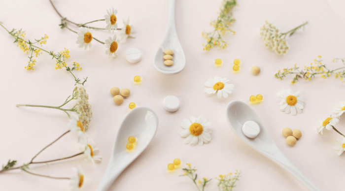 Understanding Adaptogens: Herbs That Help Your Body Handle Stress