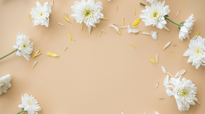 Hay fever and histamine