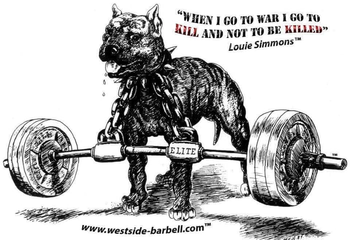 Conjugate System™ - Circa 2016