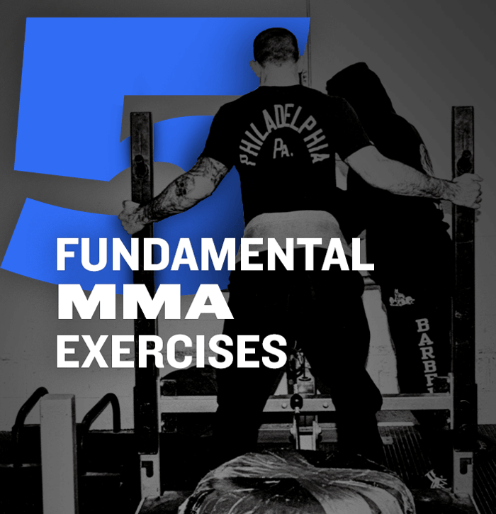 WSBB Blog: 5 Fundamental Exercises For MMA