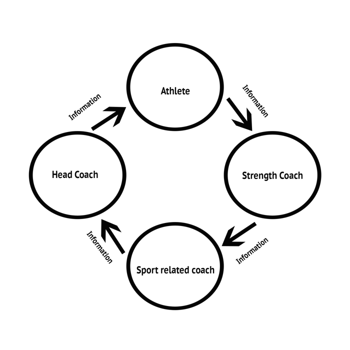 Assessing the Assessment